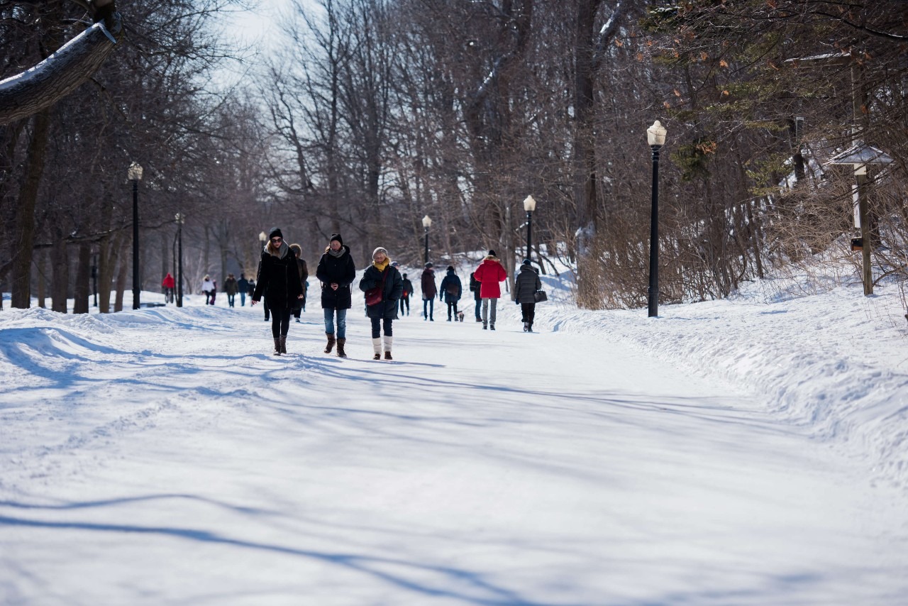 Chemin Olmsted parc du Mont-Royal à Montréal