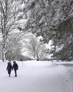 Promenade romantique au parc du Mont-Royal de Montréal