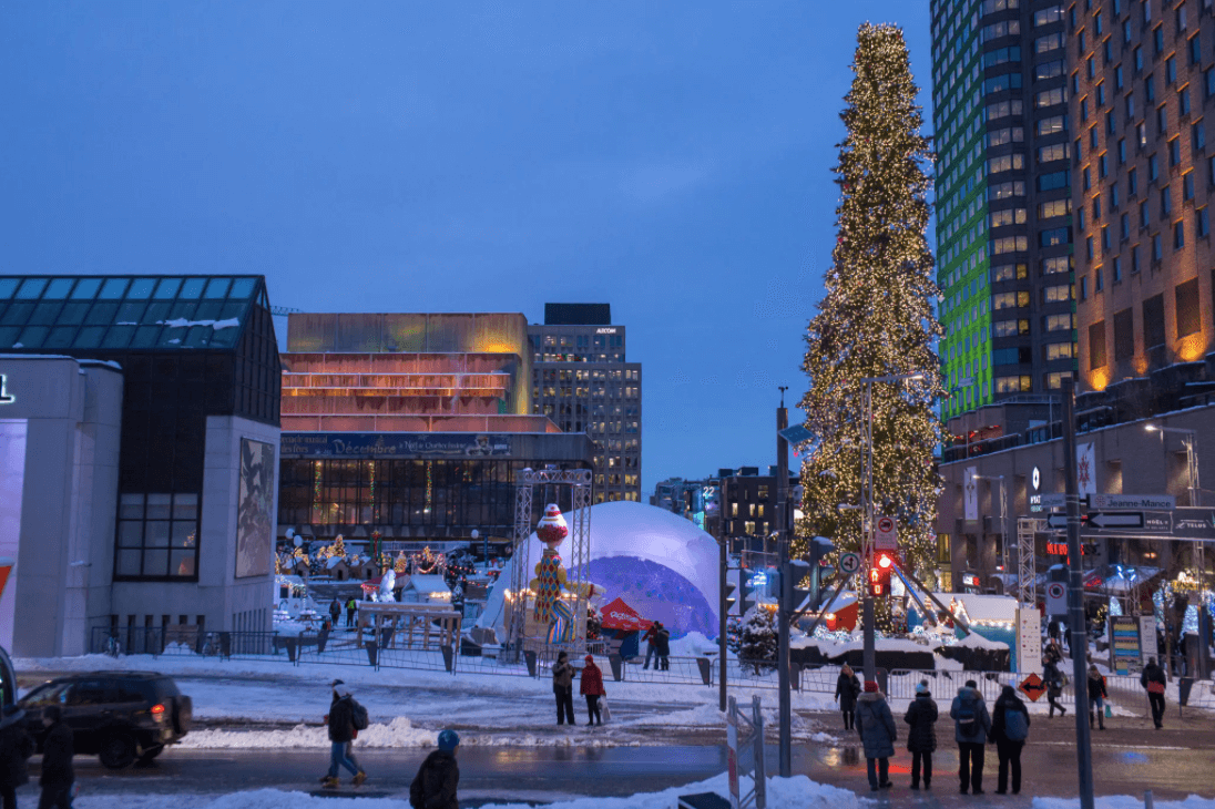 Sapin lais Montréal 2016 credit Ian Austen New York Times